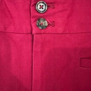 Anthropologie fuchsia essential skinny leg pants with purple stripe